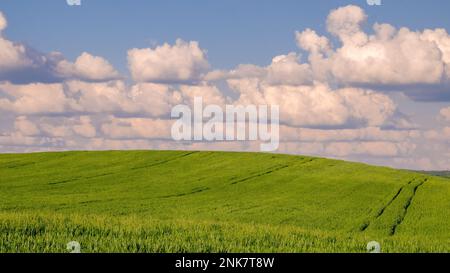 Rain clouds over an agricultural field Stock Photo