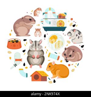 Hamster flat round composition with cute animals food and cage with wheel and automatic drinker   cartoon vector illustration Stock Vector