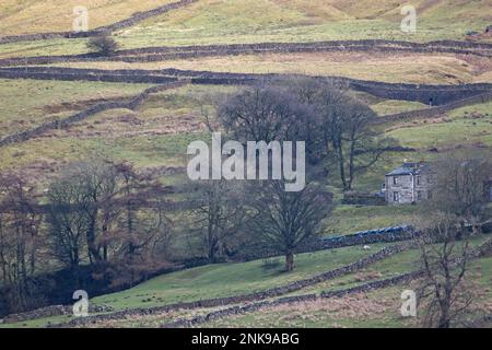 Rural North Yorkshire landscape featuring trees and farm buildings set in the hills of the Yorkshire Dales. Stock Photo