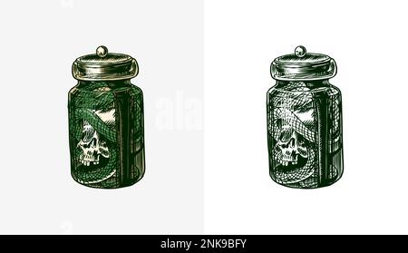 A snake with a skull in a jar. Witch poison. Arcane Esoteric icon. Vintage engraving sketch. Doodle outline. Hand drawing. Vector illustration. Stock Vector