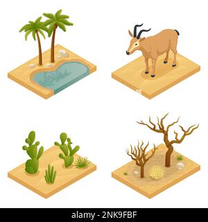 Desert four isolated elements illustrated landscape with drought oasis animals cacti palm trees and succulents isometric vector illustration Stock Vector