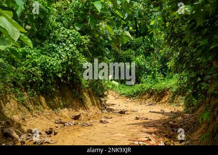 Broken mountain road after rain. Slippery and broken roads in the mountainous region of Bangladesh. Photo taken from Meghla, Bandarban, Chittagong, Ba Stock Photo