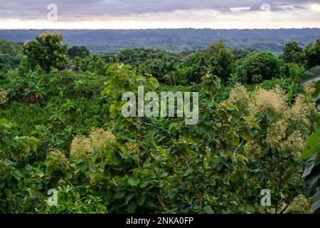 Jhum House Jhum bhari is a temporary residence for living. Mountain view from Zoom ...