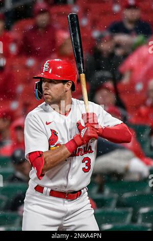 St. Louis Cardinals: A case against the Designated Hitter