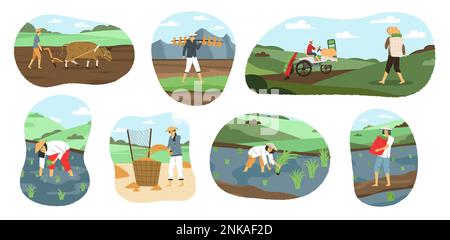 Male and female asian farmers ploughing and harvesting flat ...