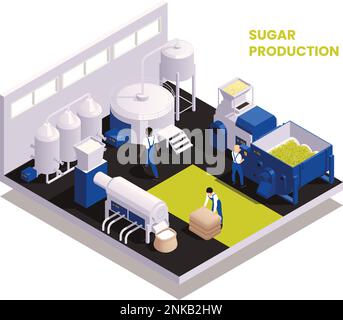 Sugar production isometric composition illustrated the sequence of function of technological process vector illustration Stock Vector