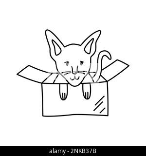 Little sphynx cat in a cardboard box. Linear doodle illustration of a pet. Cute design element for animal shelters Stock Vector