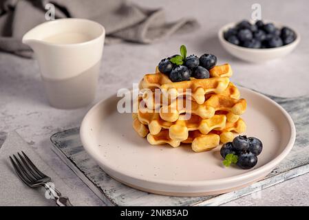 Food photography of waffles with blueberries, breakfast, milk, belgian, snack, dessert, sweet food Stock Photo