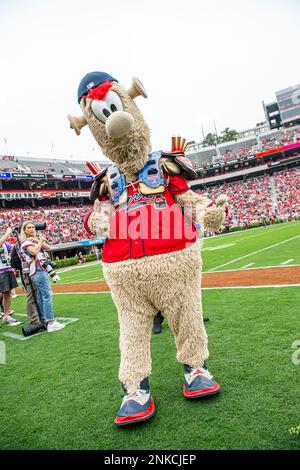 WATCH: Atlanta Braves mascot Blooper celebrates the NL East title in an  empty Truist Park - Sports Illustrated Atlanta Braves News, Analysis and  More