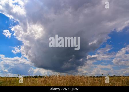 Cloud formation (cumulus) with clouds over a meadow in summer, Bavaria, Germany Stock Photo