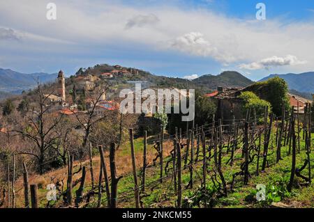 View of the village of Marmoreo, municipality of Casanova Lerrone, province of Savona, Liguria, Italy Stock Photo