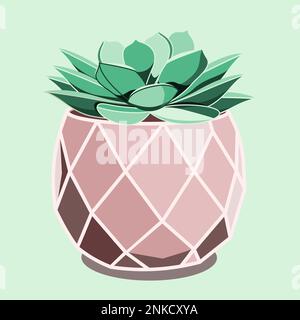 Echeveria succulent in ceramic pot in flat technique vector illustration Stock Vector