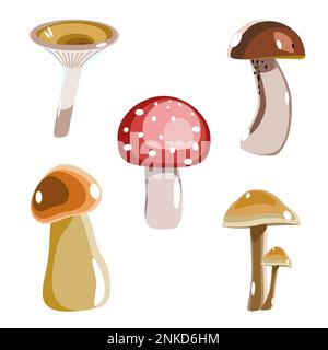 Vector illustration with different types of mushrooms in flat technique isolated on a white background Stock Vector