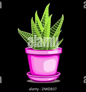 Zebra cactus houseplant in ceramic pot in flat technique vector illustration Stock Vector