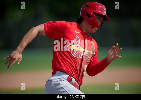 Spring Training - Miami Marlins & St. Louis Cardinals