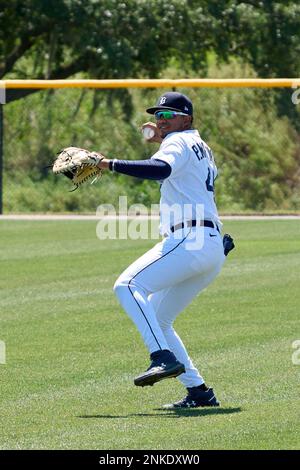 Pedro Martinez Jr. signs with Tigers