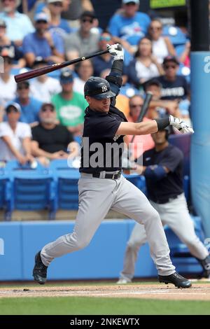 April 2, 2022, Dunedin, FL, The United States: Toronto Blue Jays