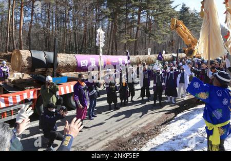 A huge tree is carried by a trailer truck for Onbashira Matsuri, also ...