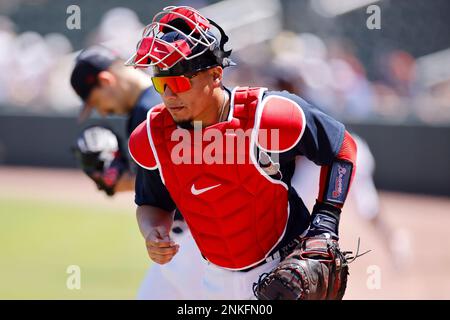 Atlanta Braves' William Contreras takes batting practice before a spring  training baseball game against the New York Yankees, Saturday, April 2,  2022, in Tampa, Fla. (AP Photo/Lynne Sladky Stock Photo - Alamy