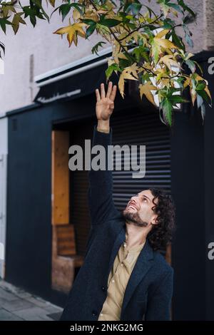 Smiling young businessman with hand raised touching branch Stock Photo
