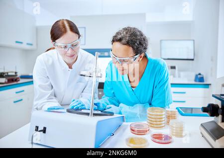 Two female scientists analyzing a sample in a microbiological lab Stock Photo