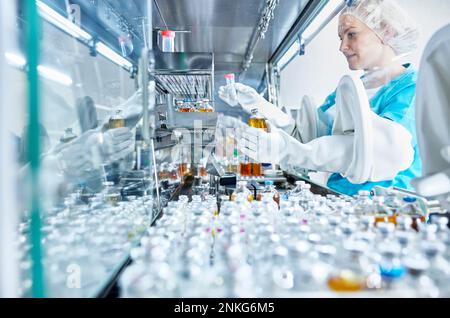 Female scientist working in cleanroom of a microbiological lab Stock Photo