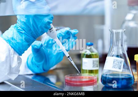 Close-up of scientist pipetting in a microbiological lab Stock Photo