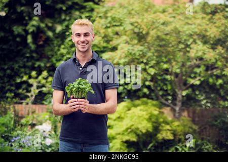Smiling young man holding plant at back yard Stock Photo