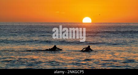 Silhouette men surfing in sea at sunset, Pembrokeshire, Wales Stock Photo