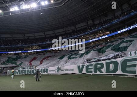 Sao Paulo, Brazil. 23rd Mar, 2022. SP - Sao Paulo - 03/23/2022 - PAULISTA  2022, PALMEIRAS X ITUANO - Rony, a Palmeiras player, celebrates his goal  with players from his team during