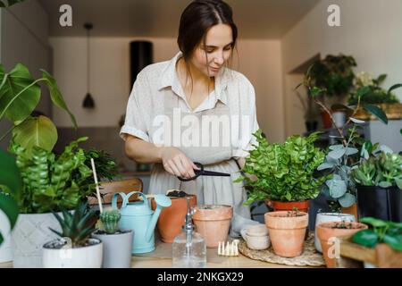 Woman with scissors taking care of potted plants at home Stock Photo