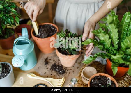 Woman using gardening trowel and planting in pot at home Stock Photo