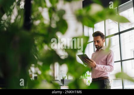 Mature businessman using tablet computer in office Stock Photo