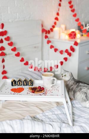 Breakfast tray by cat sitting on bed Stock Photo
