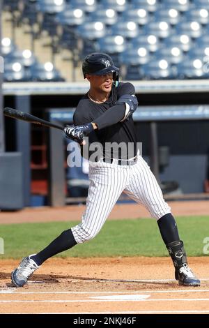 TAMPA, FL - MARCH 16: New York Yankees third baseman Josh Donaldson (28) at  bat during the Yankees spring training workout on March 16, 2022, at  Steinbrenner Field in Tampa, FL. (Photo