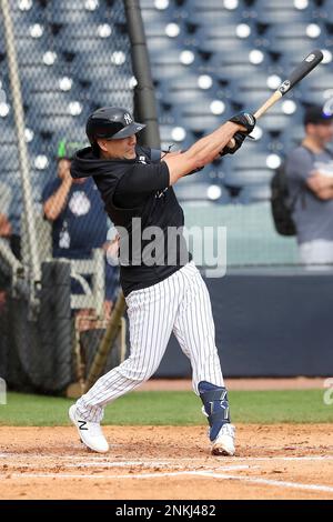 New York Yankees infielder Isiah Kiner-Falefa, right, is greeted by manager  Aaron Boone during a spring training baseball workout, Monday, March 14,  2022, in Tampa, Fla. (AP Photo/John Raoux Stock Photo 