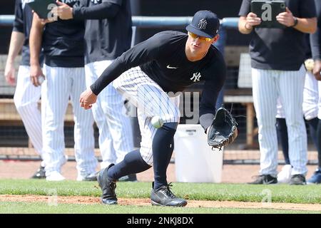 TAMPA, FL - MARCH 16: New York Yankees third baseman Josh Donaldson (28) at  bat during the Yankees spring training workout on March 16, 2022, at  Steinbrenner Field in Tampa, FL. (Photo