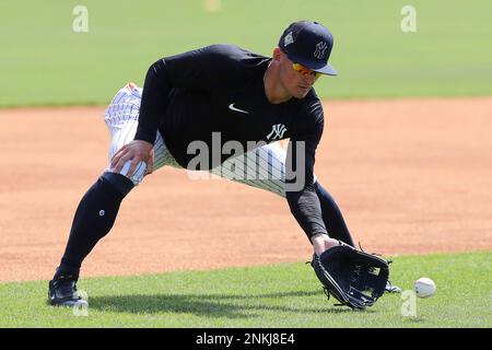 TAMPA, FL - MARCH 16: New York Yankees third baseman Josh Donaldson (28) at  bat during the Yankees spring training workout on March 16, 2022, at  Steinbrenner Field in Tampa, FL. (Photo