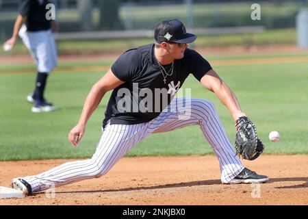 Yankees' Luke Voit gets early start to Tampa workouts