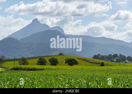 Mount Warning, Wollumbin, near Murwillumbah, new south wales, australia Stock Photo