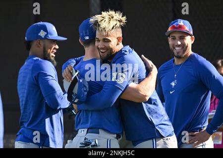 Toronto Blue Jays outfielder Lourdes Gurriel Jr. returns to the Blue Jays  dugout at Rogers Centre Stock Photo - Alamy