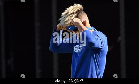 Toronto Blue Jays outfielder Lourdes Gurriel Jr. returns to the Blue Jays  dugout at Rogers Centre Stock Photo - Alamy