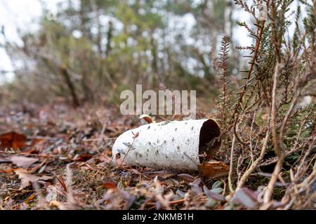 Nature view with the bark of a birch fallen on the ground with leaves in brown color Stock Photo
