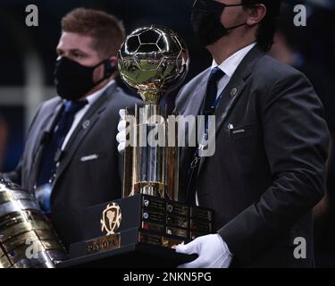 Finais das copas Libertadores e Sul-Americana: o melhor momento