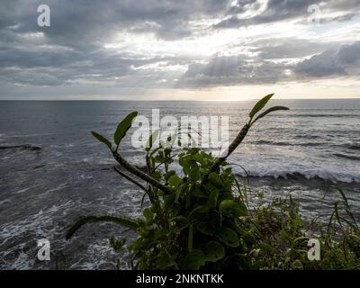 An elevated view over the sea with sunlight streaming through the clouds near Nosara in Costa Rica Stock Photo