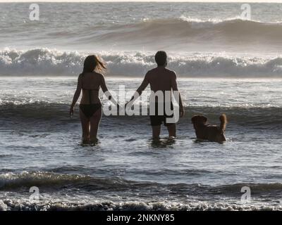 A couple and their dog walk into the sea as the waves roll in near Nosara in Costa Rica Stock Photo