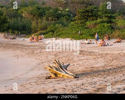 Groups of people and friends relax on the beach to watch the sunset in Nosara in Costa Rica Stock Photo