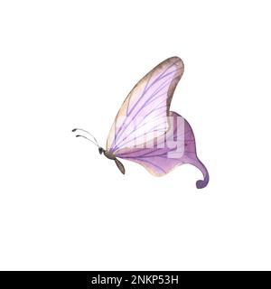 Violet pink butterfly with detailed wings isolated on white background ...