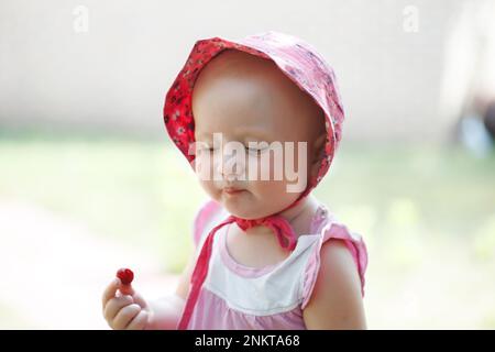 Cherries in the children's menu. A little girl of 1 year old is holding fresh cherries from a tree branch. New experience from the taste of berries in Stock Photo