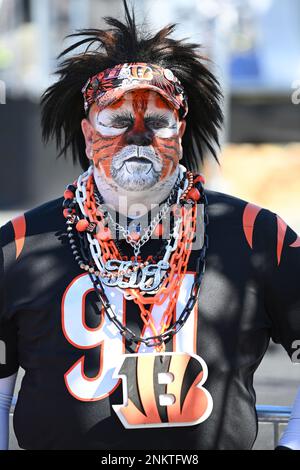 Los Angeles Rams linebacker Von Miller tries to fight through two  Cincinnati Bengals in Super Bowl 56, Sunday, Feb. 13, 2022 in Inglewood,  Calif. (AP Photo/Doug Benc Stock Photo - Alamy